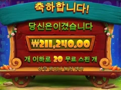 래빗 21만원 득 ㅅㅅ