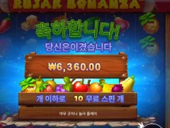 루작 보난자 스핀 10판