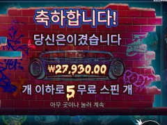 더티독 5개 스핀