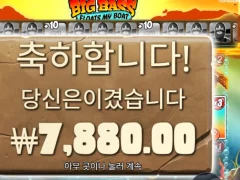 빅베스 플로트 마이 보트 후기요