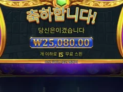 올림푸스1000 야무지게 인증 !