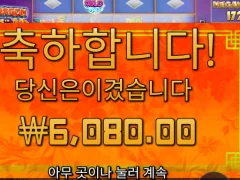 플로팅드래곤 메가웨이즈 6천원....