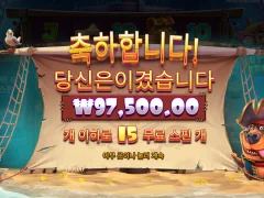 개집 신규 구매 비싸네여
