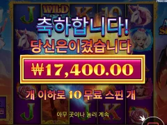 엔젤 vs 시너