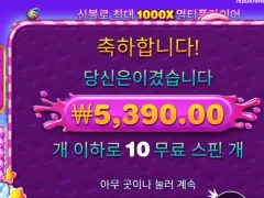 스위트보난자1000 ㅇㅈ요