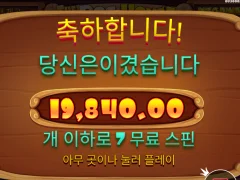 개집 스티키 구매