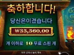 프라그마틱 갓 오브 기자 3.5인증