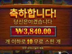 프라그마틱 버팔로킹 4천원 썰..