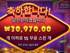 블레이징 와일드 메가뭬이즈 15스핀
