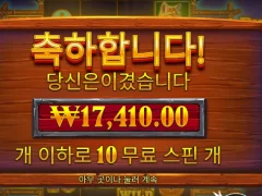 버플로킹 메가 10스핀 1.7