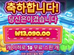 캔다지 클러스터 1.3만원 썰 품..