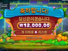 반페스티발은 할떄마다 허무하네요