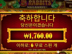 5레빗메가웨이즈 ㅈ망 인증합니다..