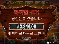 오랜만에 돌려본 와일드갱