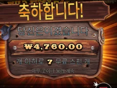 와일드웨스트골드 ㅅㅅㅅ와웨골 후기 .