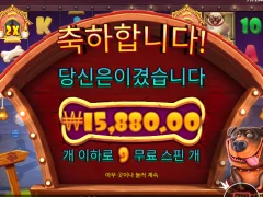 개집 멀티홀드 두칸에서 마무리ㅜㅜㅜ