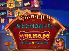 도그하우스 멀티홀드 ㅅㅅㅅ