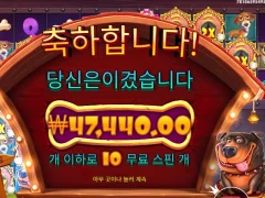 개집 멀티홀드 3칸 오픈