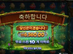 후루츠 오브 더 아마존