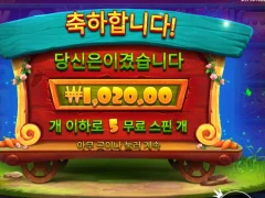 래빗가든 5스핀 후