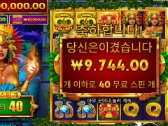 파이어버드 스핀 40개 갯수는 상타취