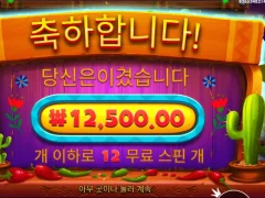 온라인 슬롯 프라그마틱 핫페퍼 1.25 인증!