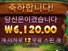 프라그마틱 대형사 맞징? 바이슨 6천원 말이되냐 ㅋㅋㅋㅋ 이것들아