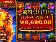 파이어스탬피드 27스핀 인증해봐용
