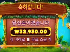 버징와일드 솔찬히 안주네요