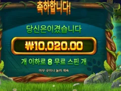 팀버 스텍스 8스핀