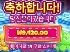 프라그마틱 캔디자 ㅅㅅㅅㅅ