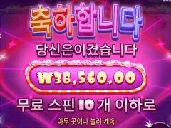 슈가천 일반구매