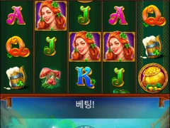 클로버 낙엽 ㅜㅜ 와인