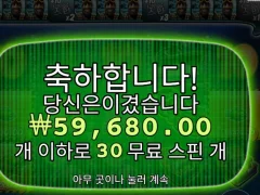 빅베스 300배..!