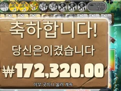 빅베스 아마존 860배 후기 !