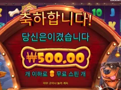도그하우스 멀티홀드 이렇게 망할수가 있나...