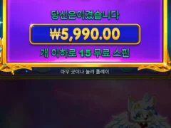 프라그마틱은 모다? 프린세스1000