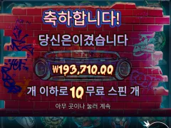 빅도그 322배 냠냠냠
