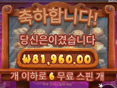 와일디즈 구매 싸네영