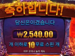 바이킹포지 10스핀 결과 ㅈ망....