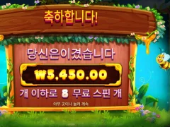 프라그마틱 버징와일드 5천원 인증..