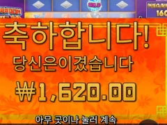플로팅드래곤 메가웨이즈 내림목 제대로네 슈발..