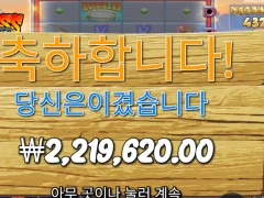 빅베스 홀드 앤 스피너 맥스윈 맛보기