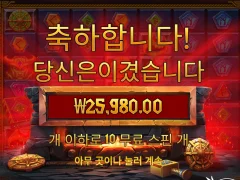 로키 후기