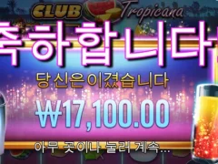 프라그마틱 클럽 트로피카나 하타취 후기