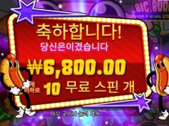 빅버거 10스핀 인증!