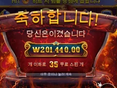 포지 올림푸스 500배 인증여~~~