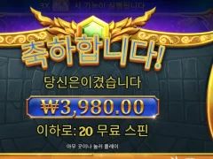 게이츠 오브 올림푸스 스핀 20 개 금액은....