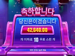 라이프리워즈 했어요