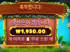 버징와일드 8스핀 .